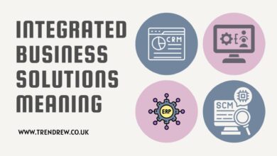 Integrated Business Solutions Meaning