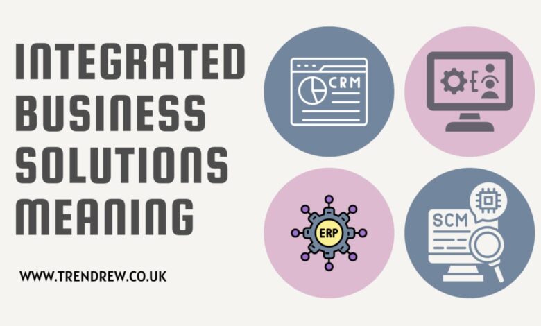 Integrated Business Solutions Meaning