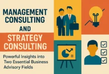 Management Consulting and Strategy Consulting